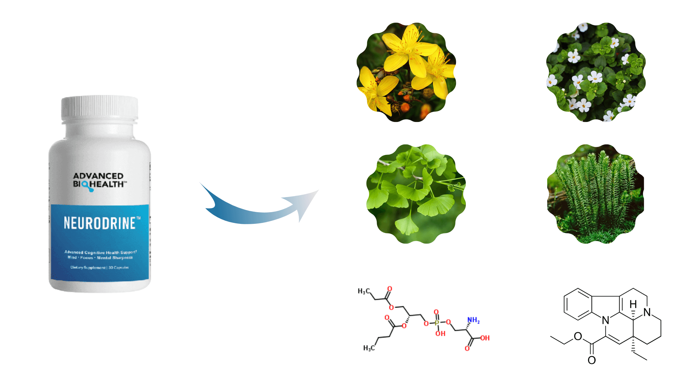 Neurodrine